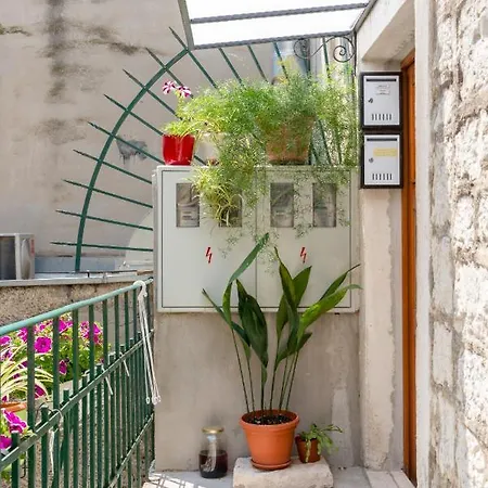 Dar Mar * Split